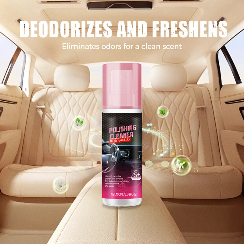 Interior Cleaner for Leather, Vinyl & Plastic