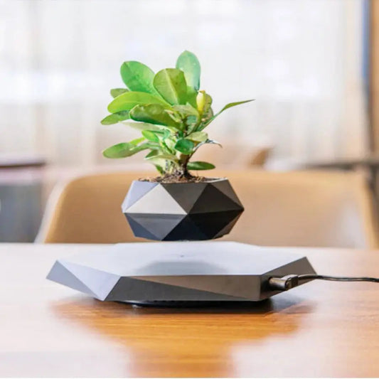 360-Degree Rotating Floating Flower Pot