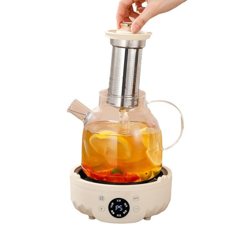 9-in-1 Glass Health Pot & Electric Tea Maker