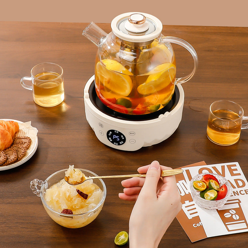 9-in-1 Glass Health Pot & Electric Tea Maker