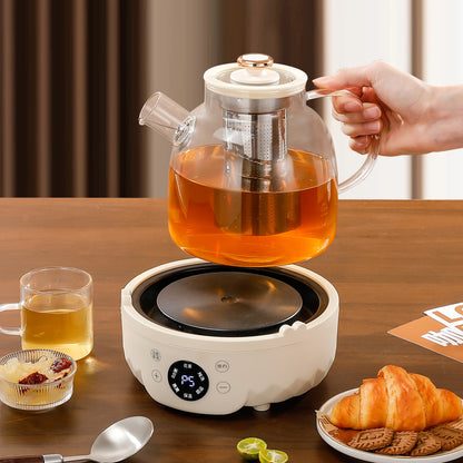 9-in-1 Glass Health Pot & Electric Tea Maker