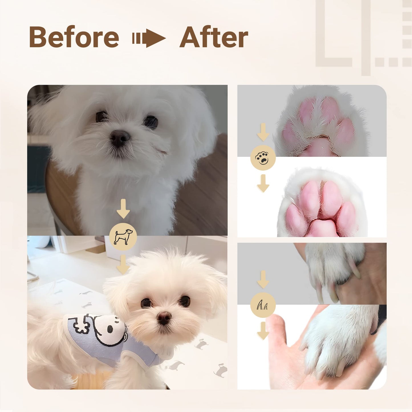 4-in-1 Dog Grooming Kit with Quiet Clippers