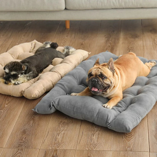 3-in-1 Pet Bed - Lounger, Mat, and Snuggle Cave